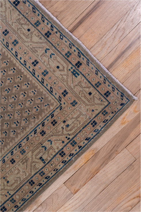 Vintage Mahal Runner Rug (3' x 10')